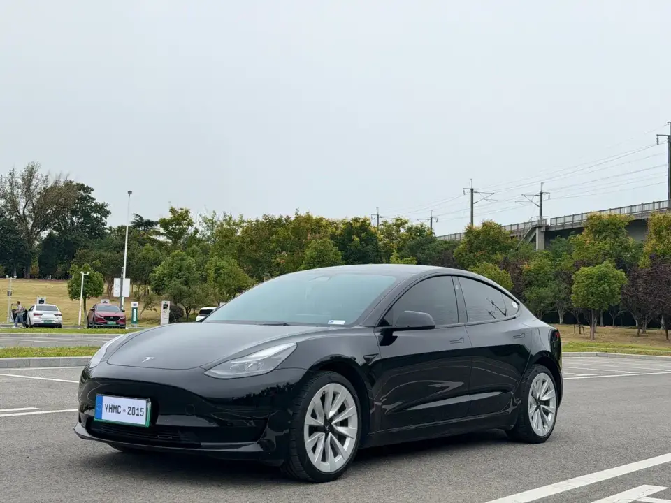 Tesla Model 3 Model Rear-Wheel Drive Version 2023