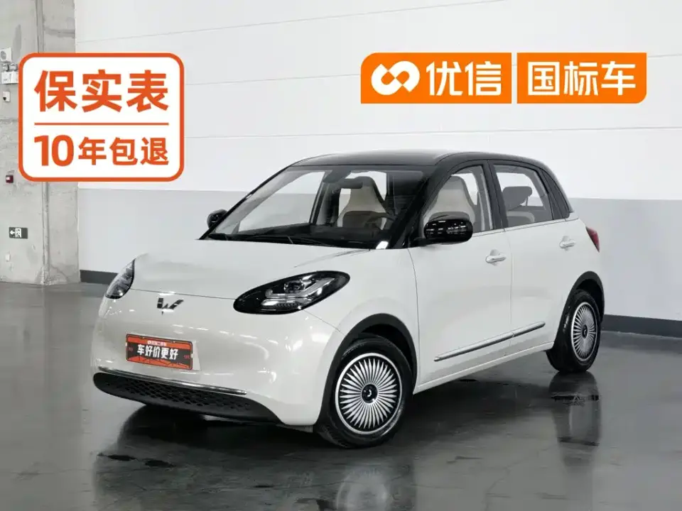 Wuling Motors Wuling Bingo 203km Comfort Version 2023