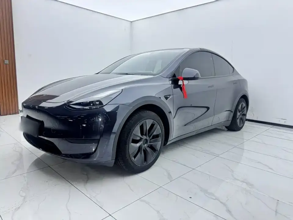 Tesla Model Y Rear-Wheel Drive Version 2024