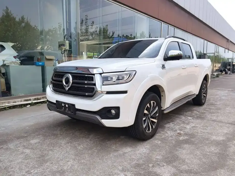 Great Wall Pao 2.0T Passenger Automatic Gasoline 4WD Sport GW4C20B 2024