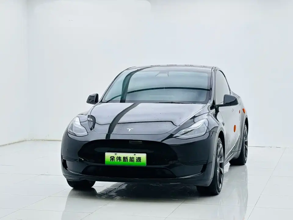 Tesla Model Y Rear-Wheel Drive Version 2022
