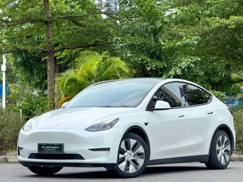 Tesla Model Y Standard Range Rear-Wheel Drive 2021