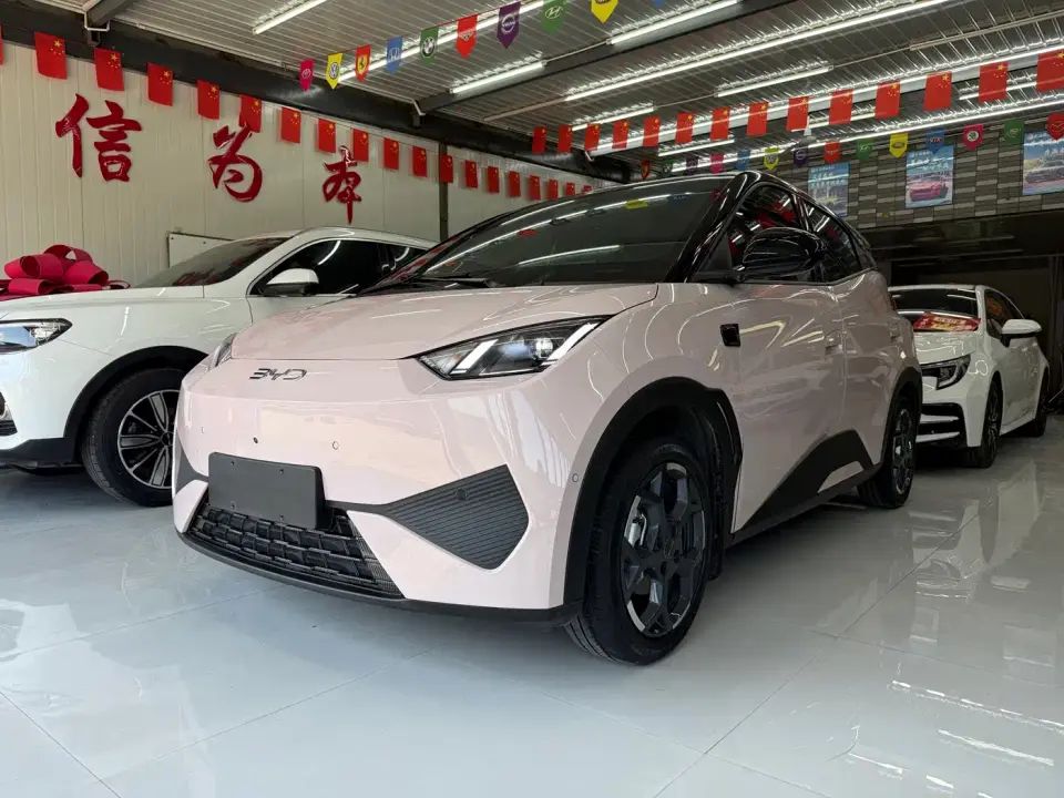BYD Seagull Smart Driving Edition 405km Flying Edition 2025