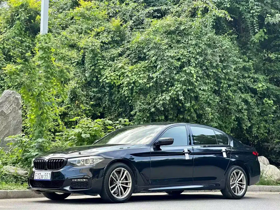 BMW 5 Series 525Li M Sport Package 2019