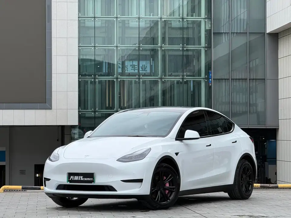 Tesla Model Y Rear-Wheel Drive Version 2022