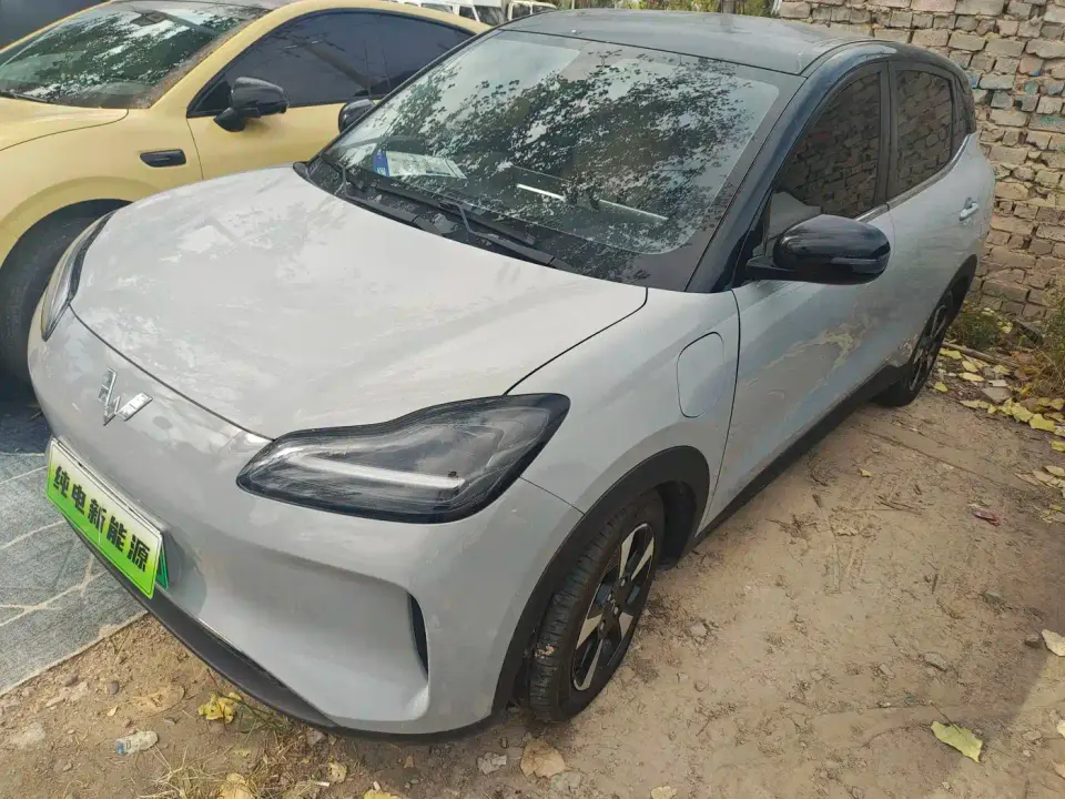Wuling Motors Wuling Binguo PLUS 510km Range 5-seater 2024