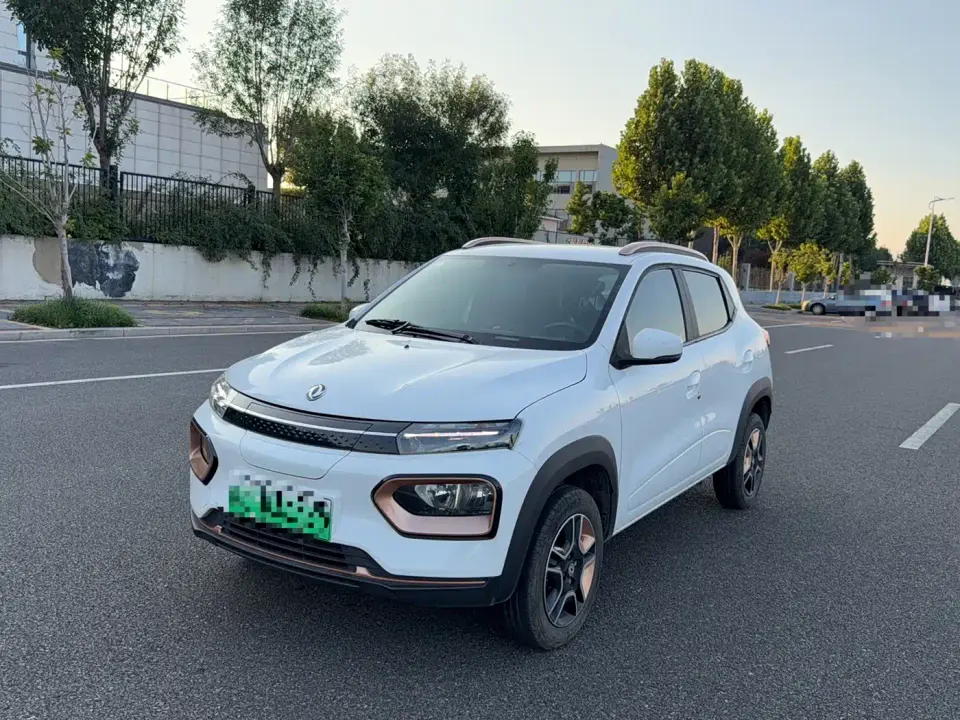 Dongfeng Yipai Nano BOX Breeze Edition 201KM Standard 2024