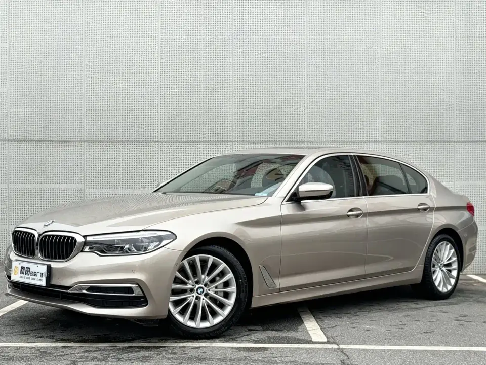 BMW 5 Series 530Li Leading Luxury Package 2020