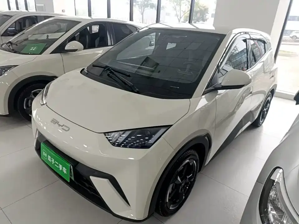 BYD Seagull Flying Edition 2023