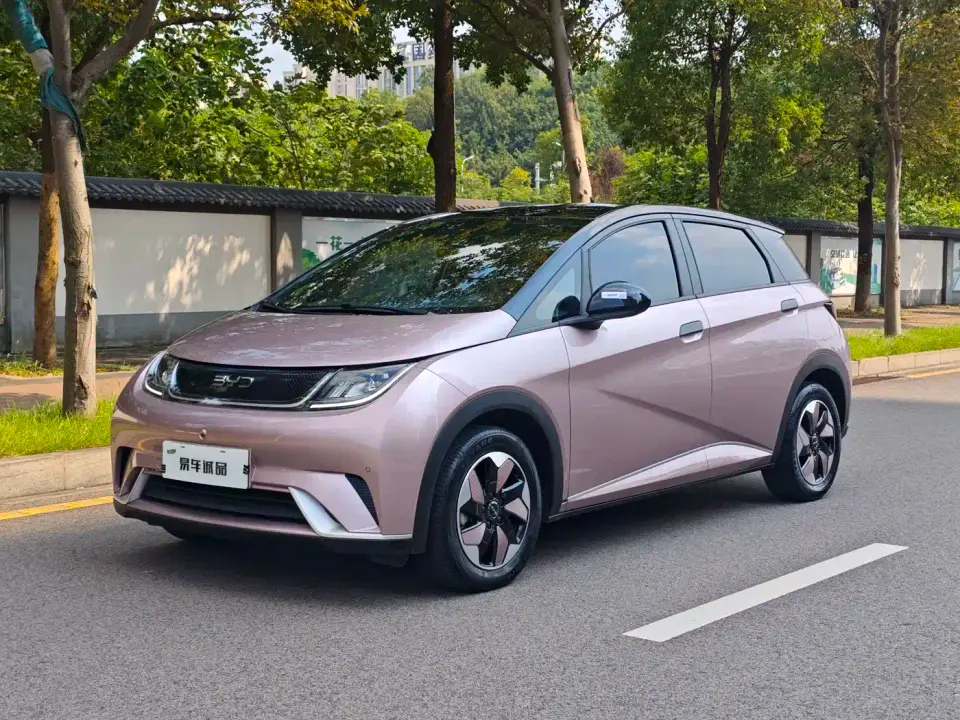 BYD Dolphin 420km Fashion Edition 2024
