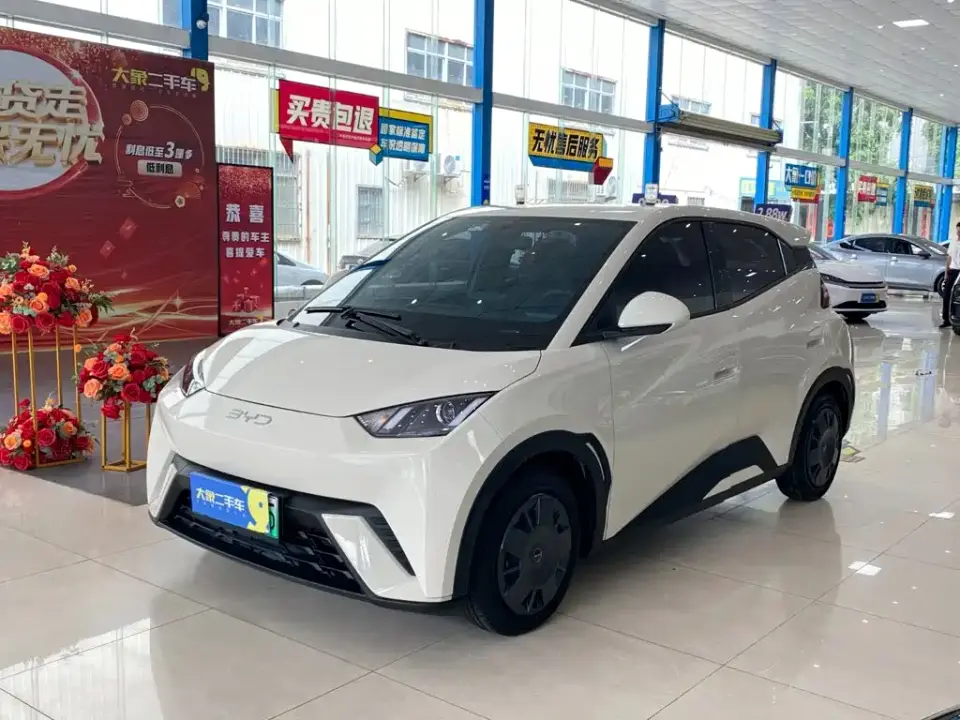 BYD Seagull Glory Edition 305km Vitality Edition 2024