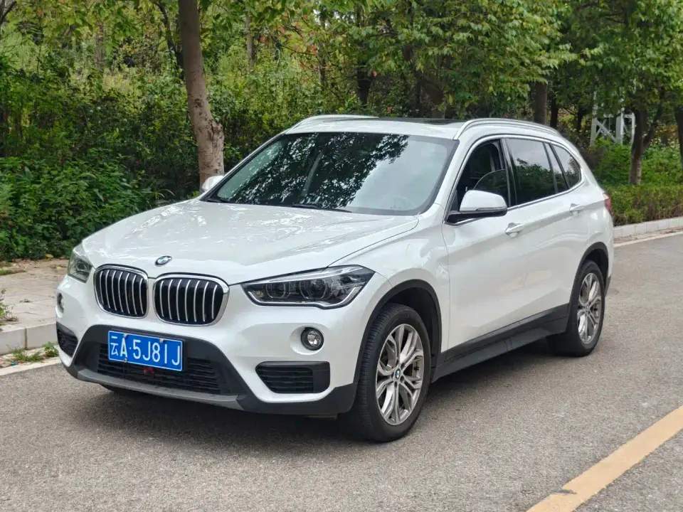 BMW X1 sDrive20Li Leading Model 2019