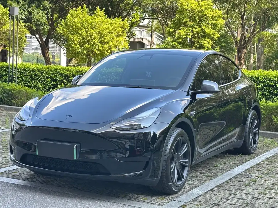 Tesla Model Y Rear-Wheel Drive Version 2022