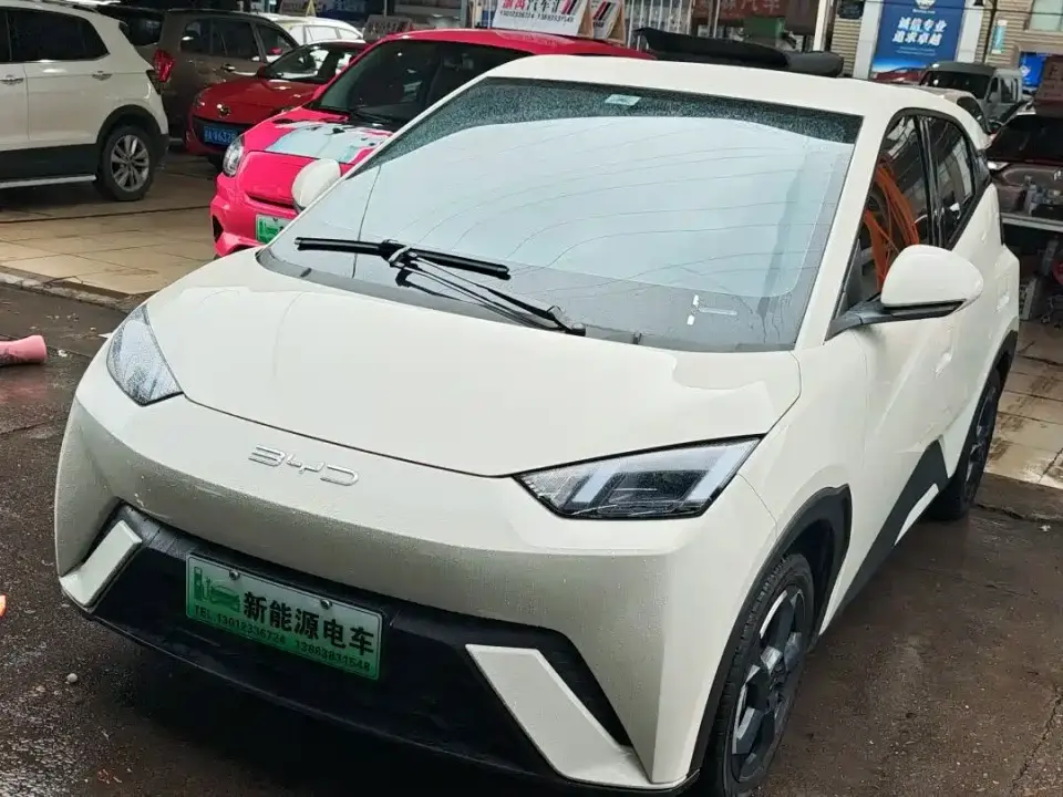 BYD Seagull Freedom Edition 2023
