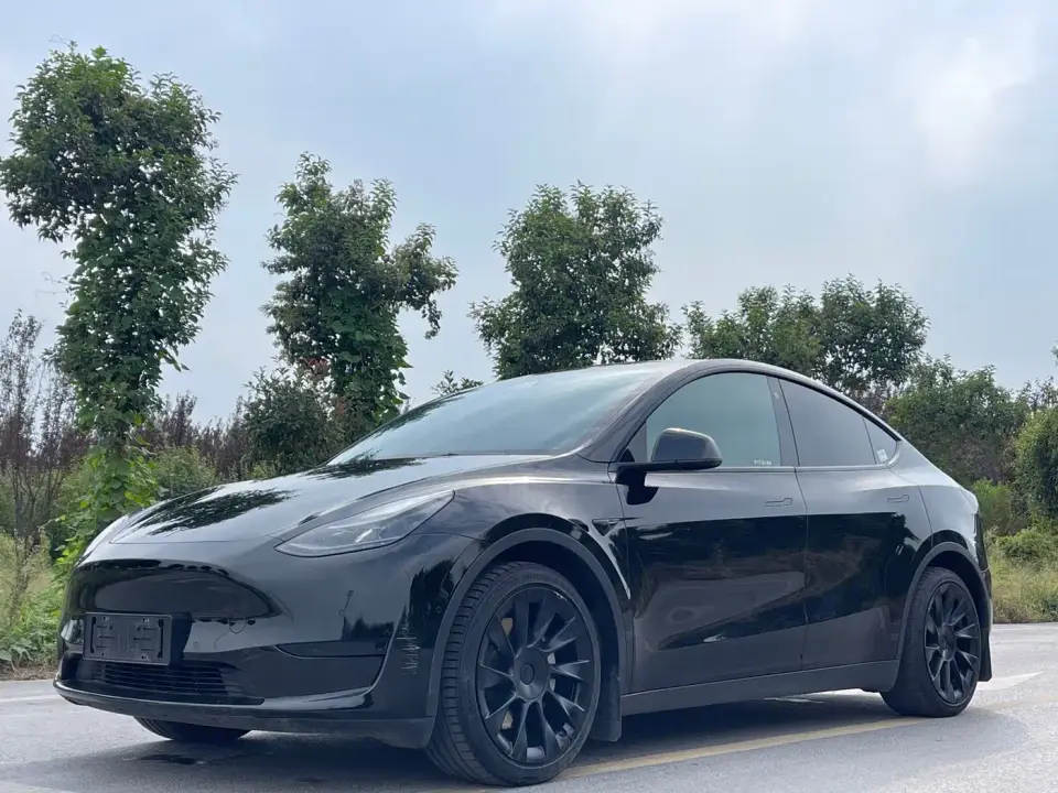 Tesla Model Y Rear-Wheel Drive Version 2022