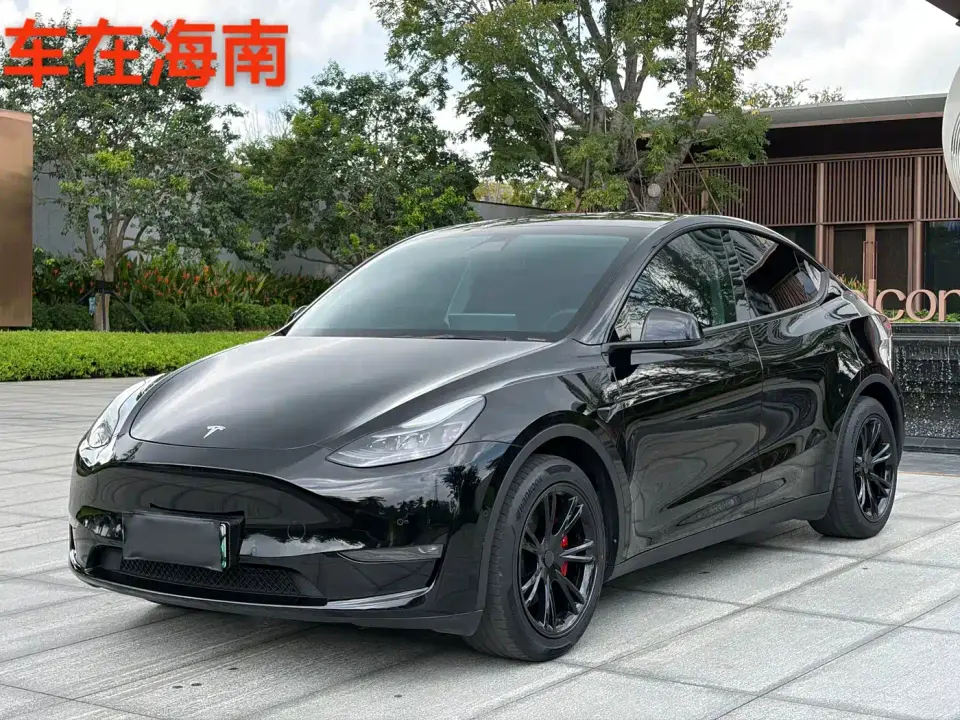 Tesla Model Y Standard Range Rear-Wheel Drive 2021
