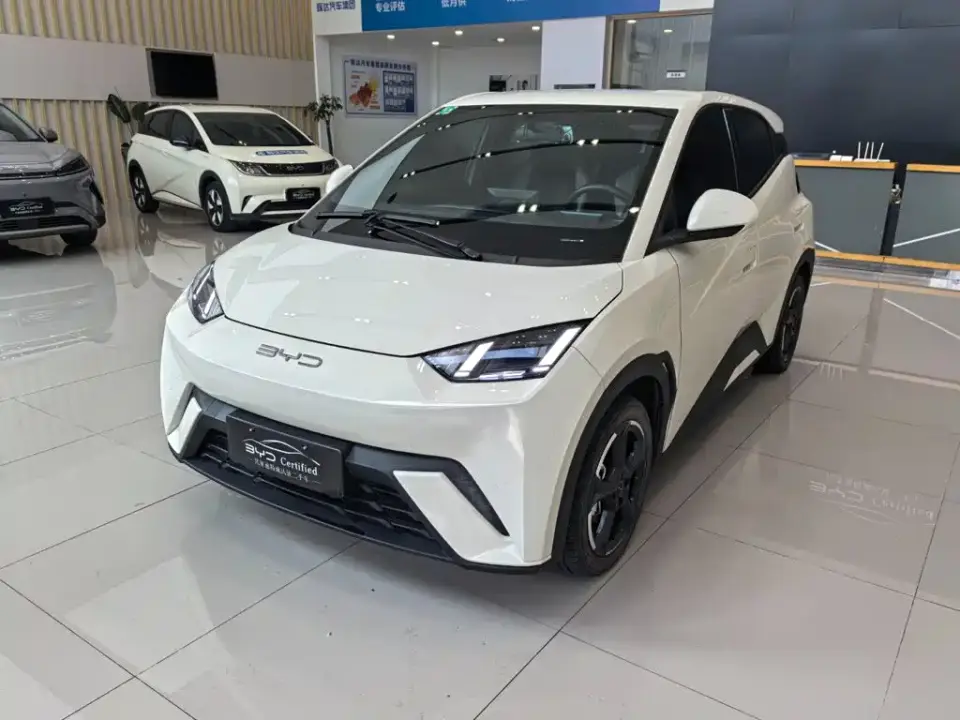 BYD Seagull Freedom Edition 2023