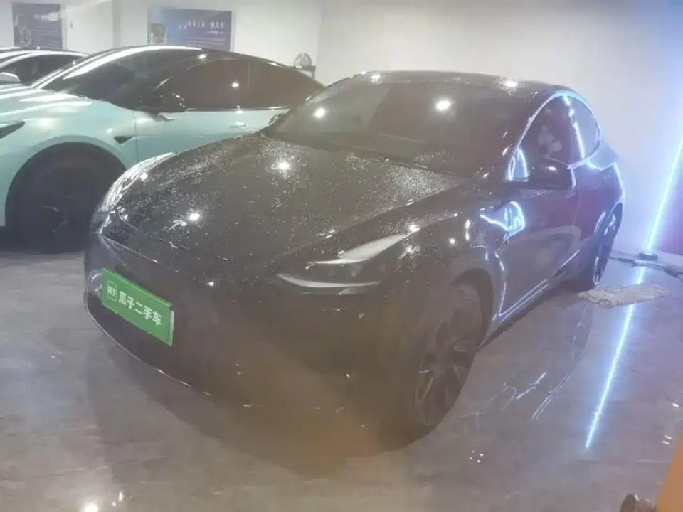 Tesla Model Y Long Range AWD 2022