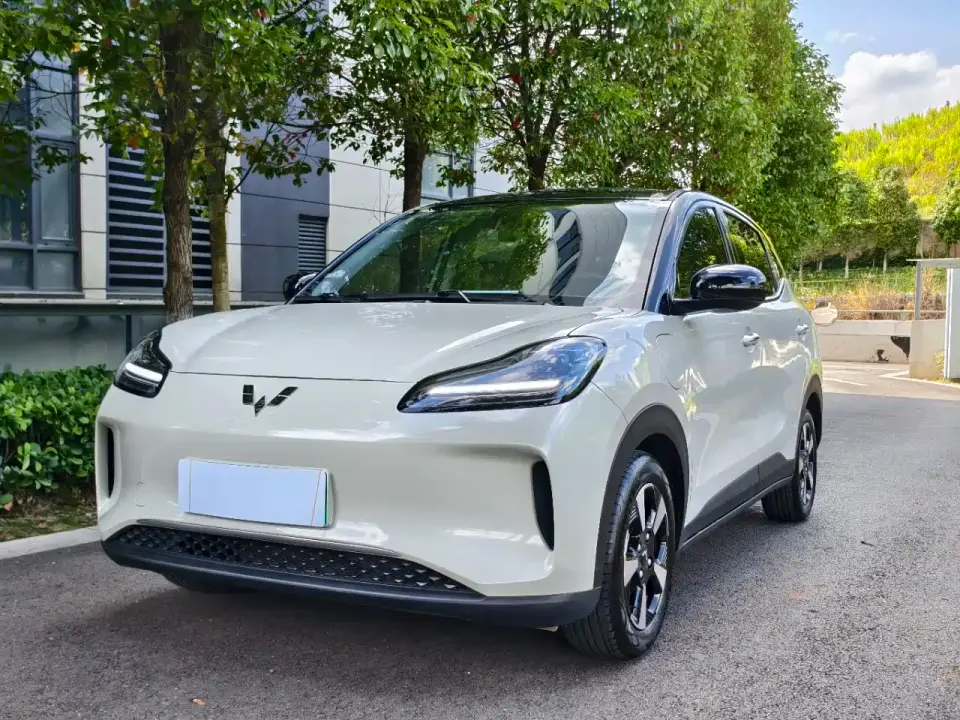 Wuling Motors Wuling Binguo PLUS 401km Range 5-seater 2024