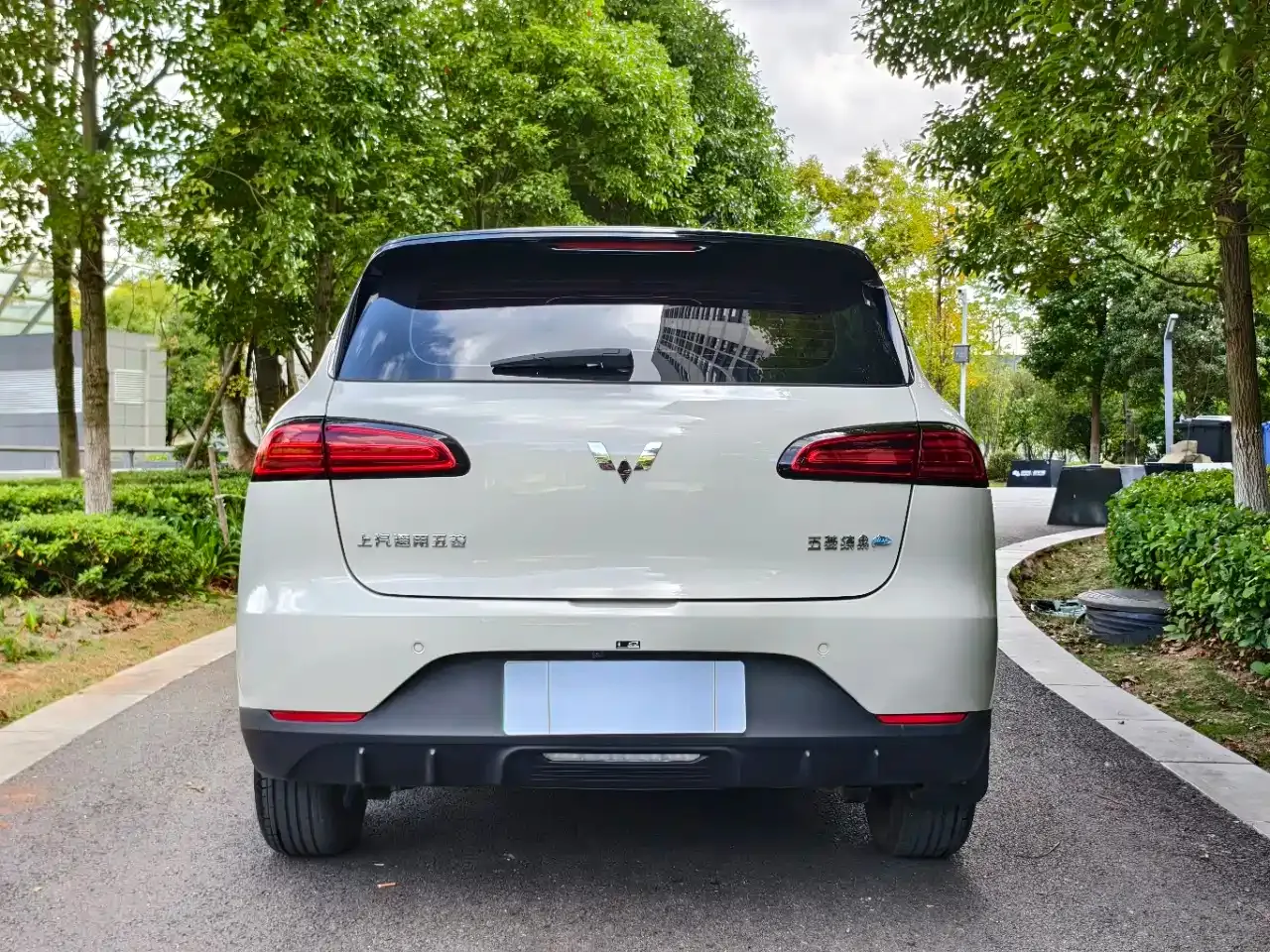 Wuling Motors Wuling Binguo PLUS 401km Range 5-seater 2024 — фото 13