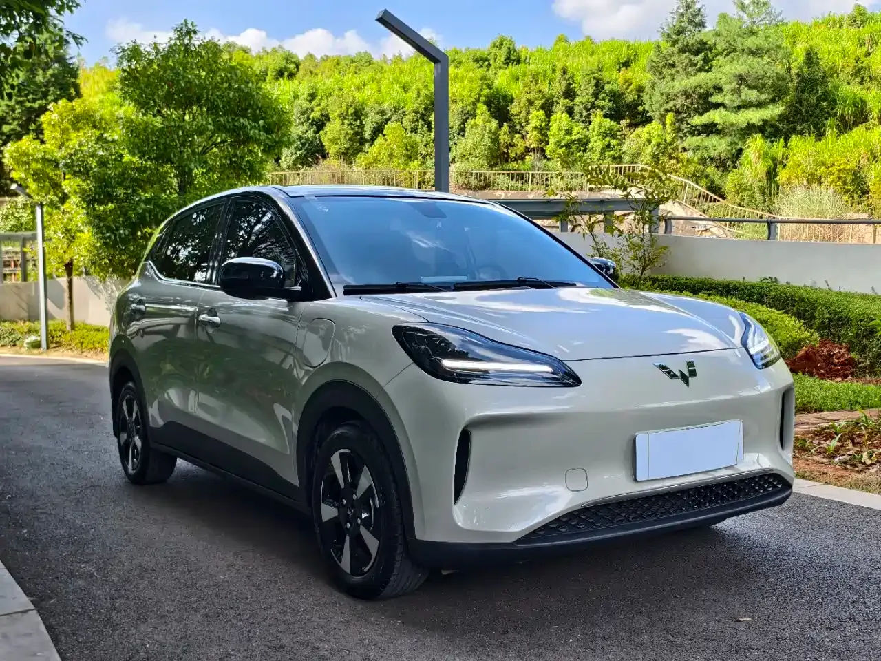 Wuling Motors Wuling Binguo PLUS 401km Range 5-seater 2024 — фото 3