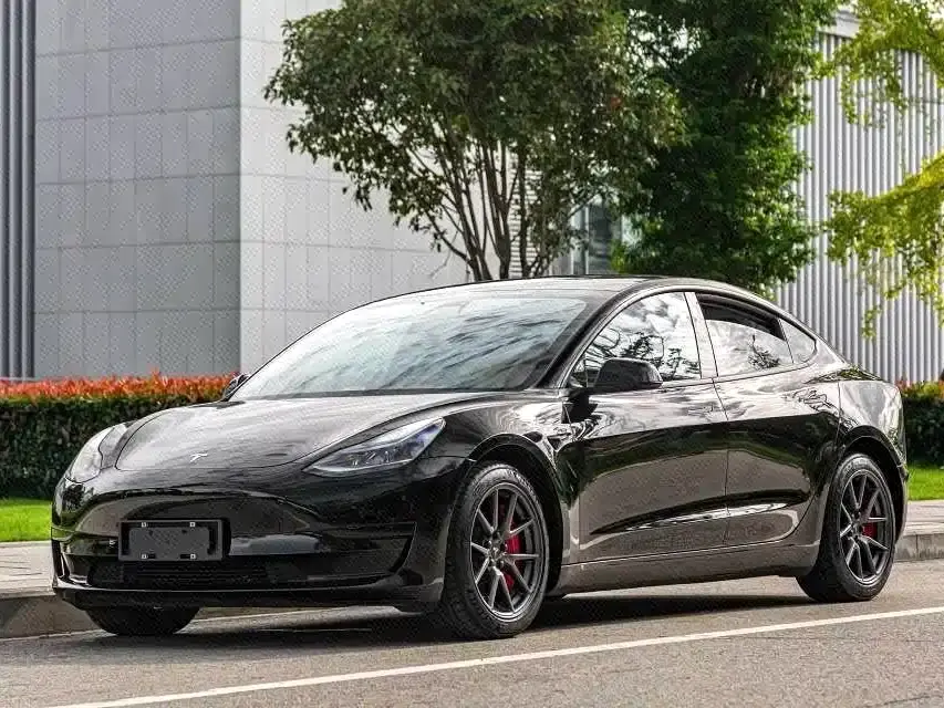 Tesla Model 3 Standard Range Rear-Wheel Drive Upgrade 2021