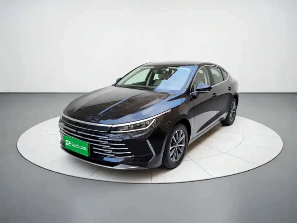 BYD Destroyer 05 Glory Edition DM-i 55KM Luxury 2024
