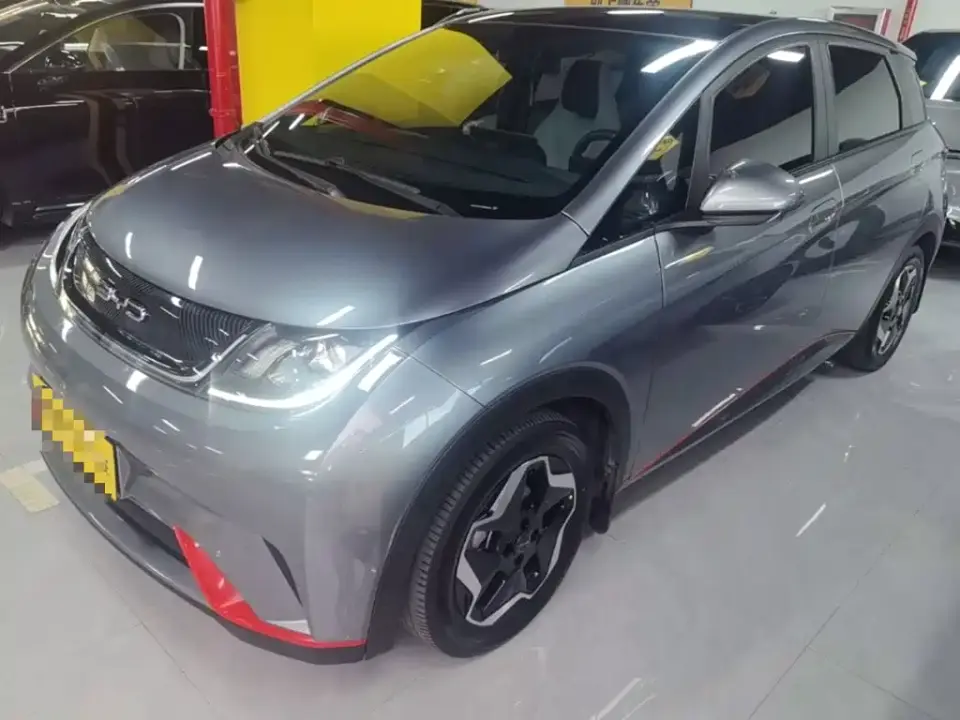 BYD Dolphin Model 405km Fashion Edition 2022