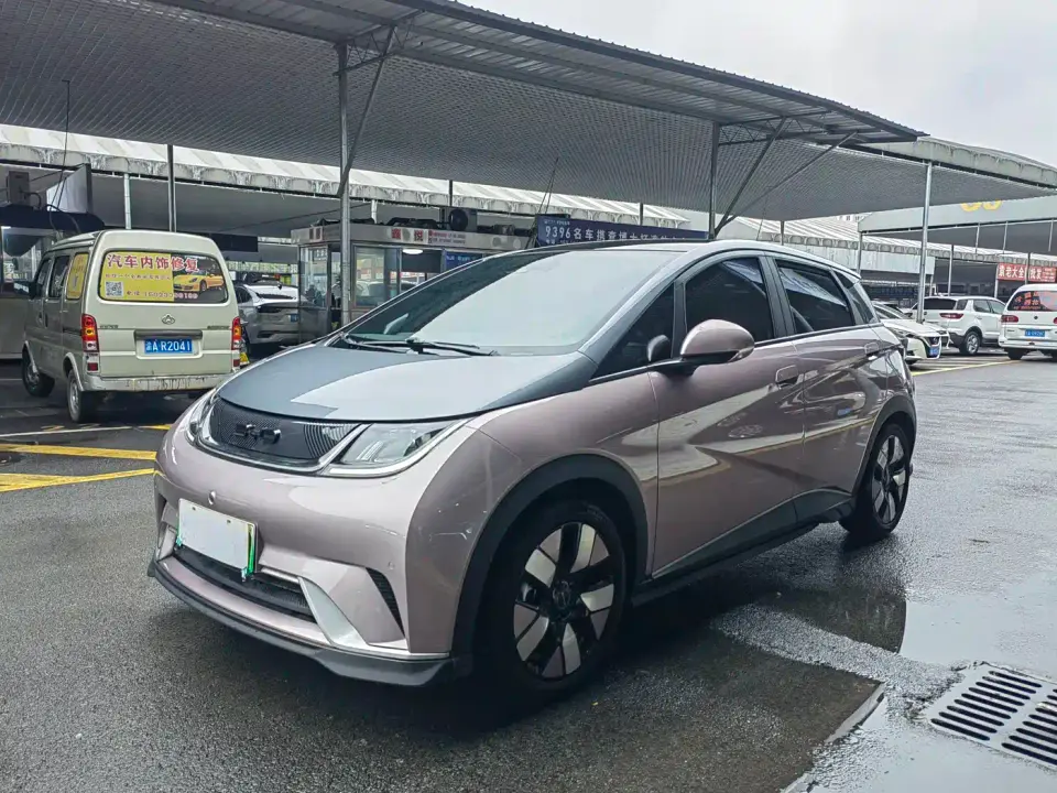 BYD Dolphin 401km Knight Edition 2023