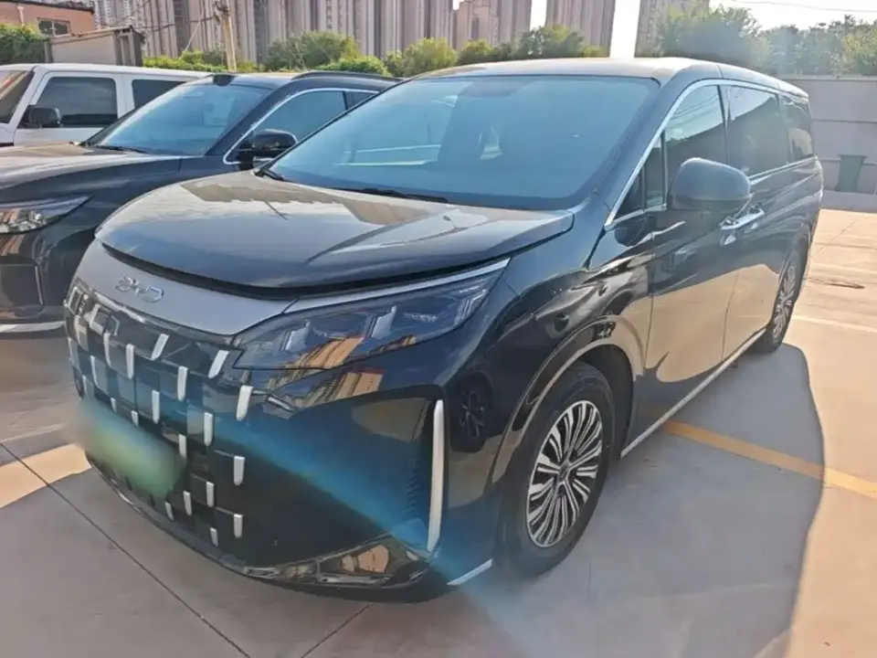 BYD M9 Model 1060 Pilot Edition 2025