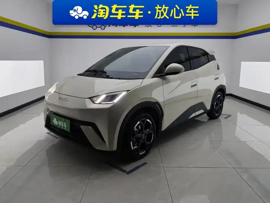 BYD Seagull 405km Soaring 2025