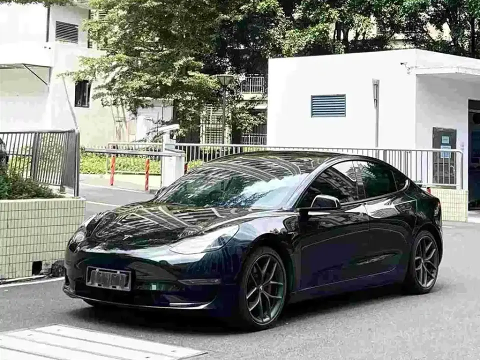 Tesla Model 3 Performance High-Performance All-Wheel Drive 3D6 2021