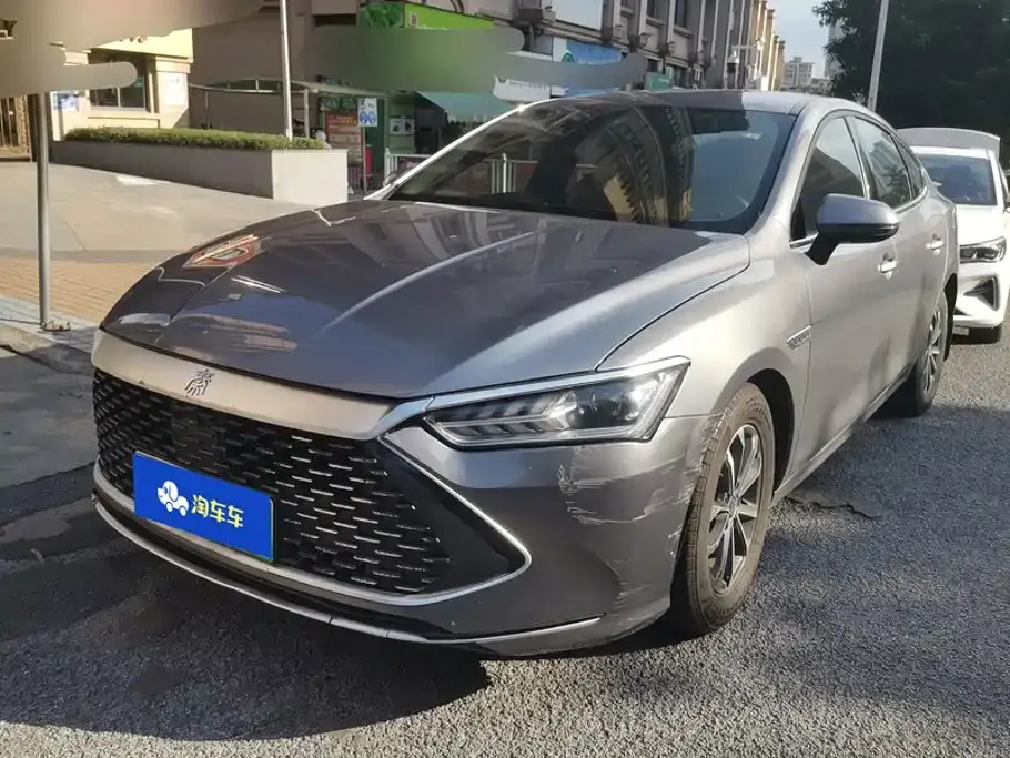 BYD Qin PLUS Champion Edition DM-i 55KM Leading 2023