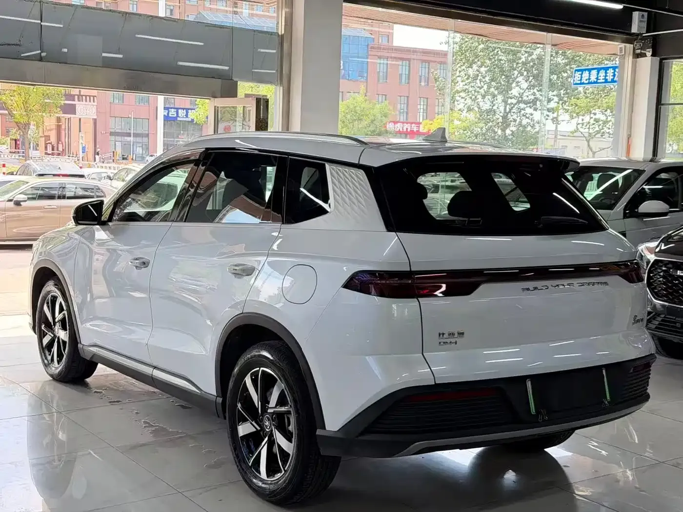 BYD Song Pro New Energy Glory Edition DM-i 110KM Excellence 2025 — фото 6