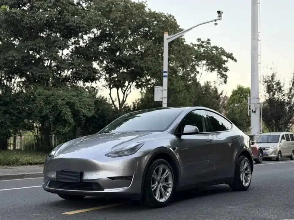 Tesla Model Y Model Long Range AWD 2021