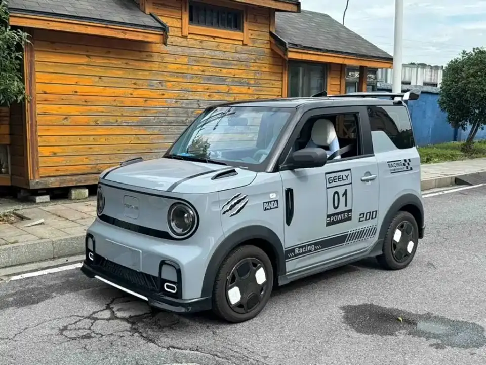Geely Galaxy Panda Model Year 210km Panda Kart 2025