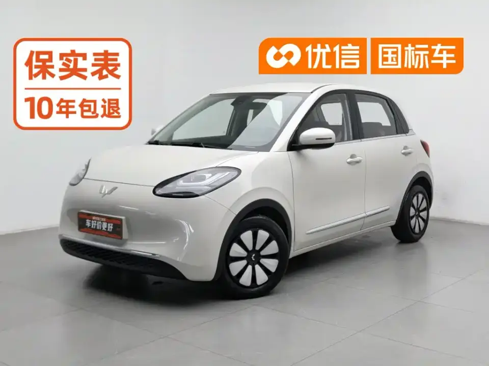 Wuling Motors Wuling Bingo 203km Comfort Version 2023