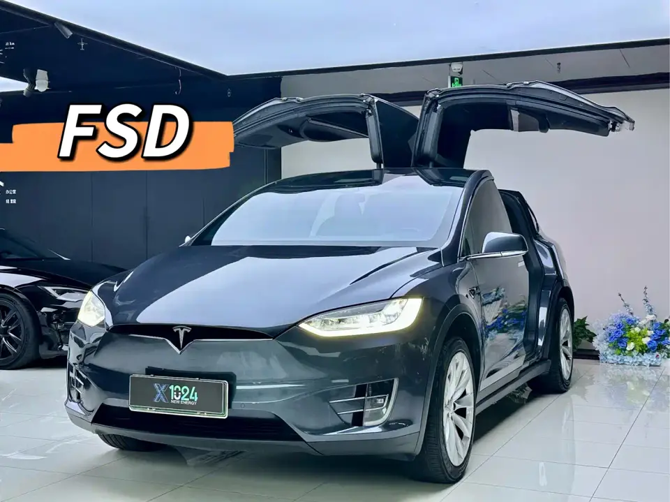 Tesla Model X Long Range Version 2020
