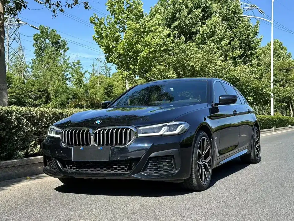 BMW 5 Series 530Li Leading M Sport Package 2021
