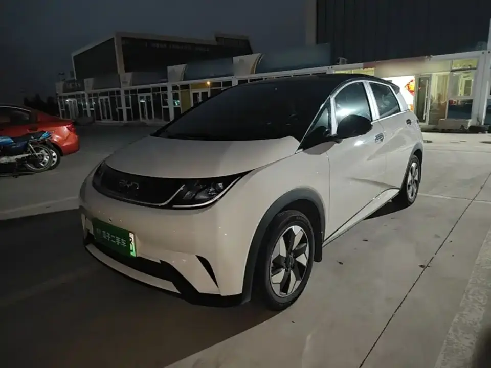 BYD Dolphin 420km Freedom Edition 2026