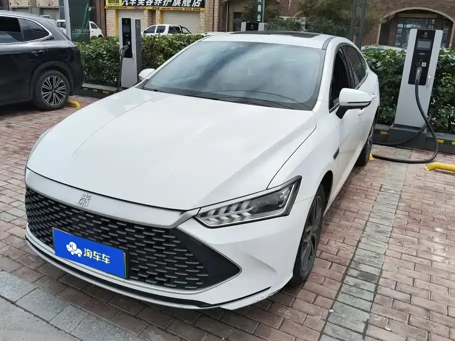 BYD Qin PLUS Champion Edition DM-i 120KM Excellence 2024