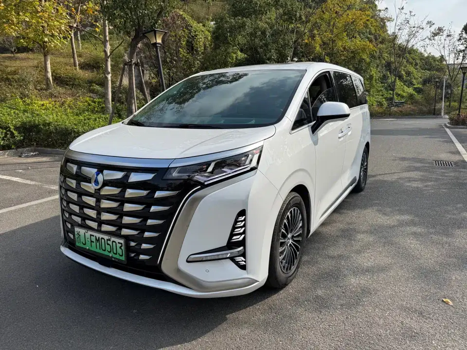 Denza D9 DM-i 970 All-Wheel Drive Honor Edition 2023