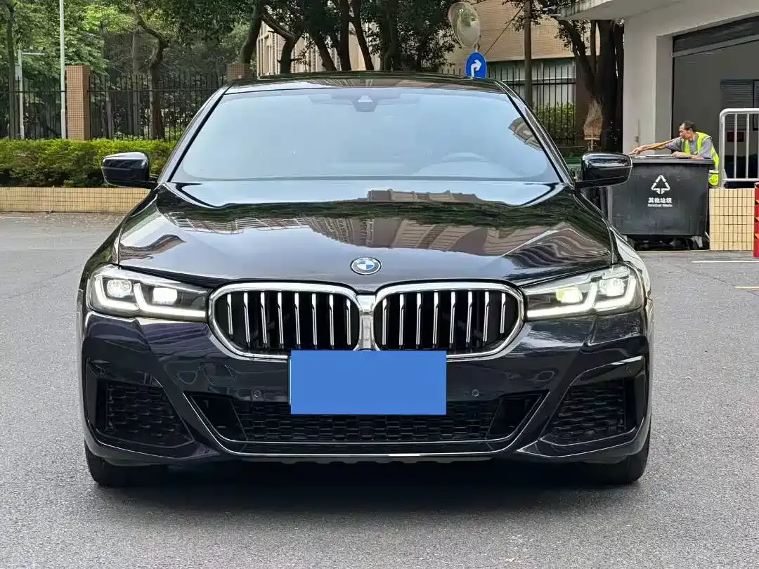BMW 5 Series 525Li M Sport Package 2020 — фото 2