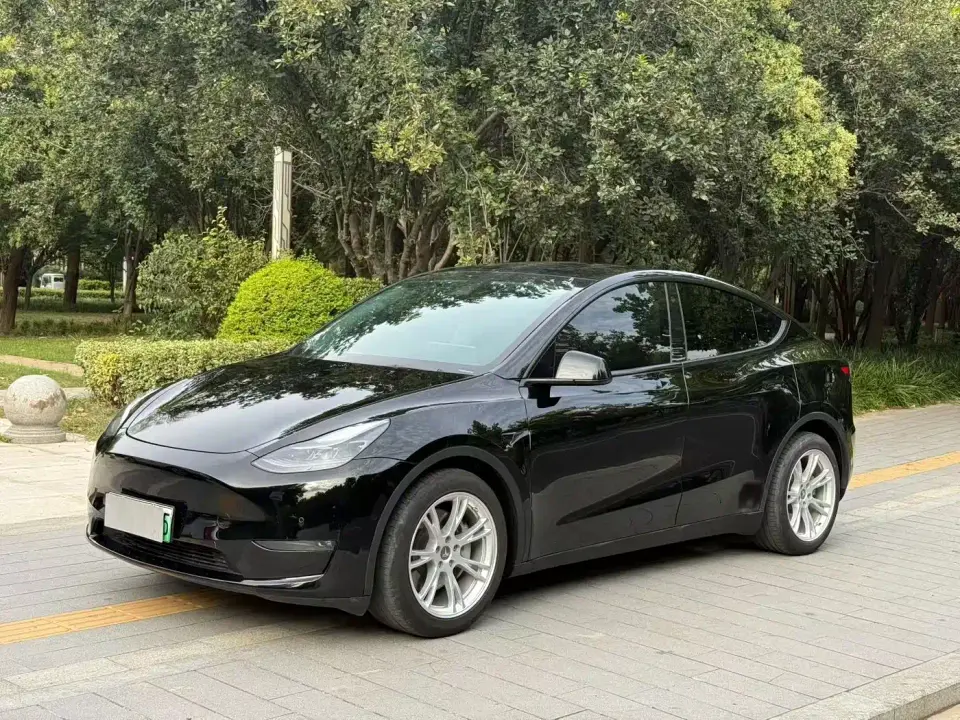 Tesla Model Y Standard Range Rear-Wheel Drive 2021