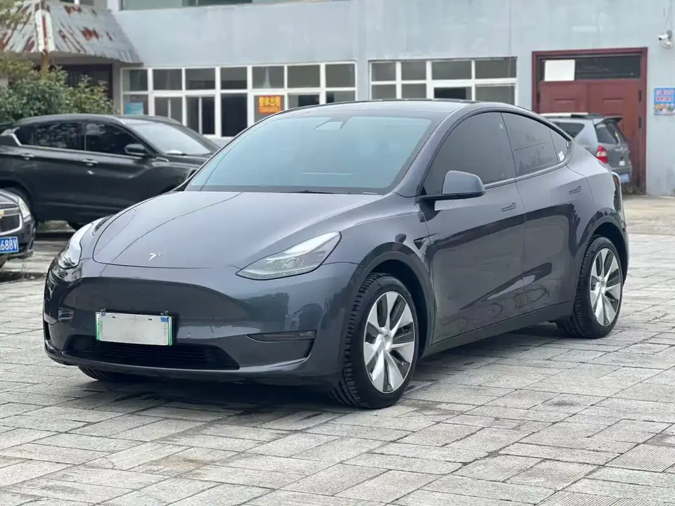 Tesla Model Y Long Range All-Wheel Drive 3D7 2021