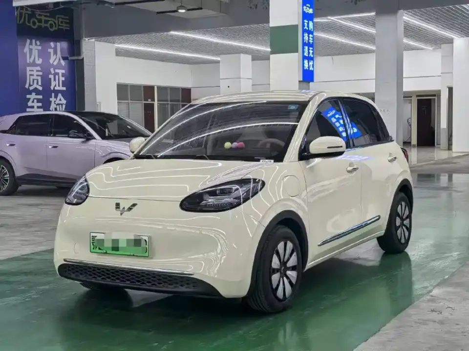 Wuling Motors Wuling Bingo Model 333km Joy Edition 2025