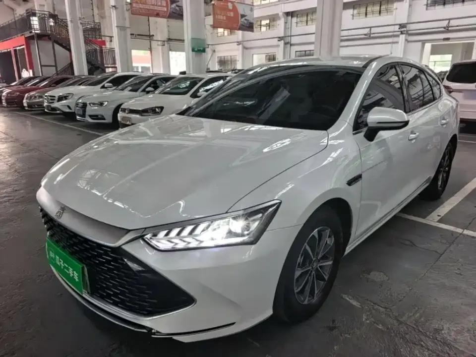 BYD Qin PLUS Glory Edition DM-i 55KM Leading 2024