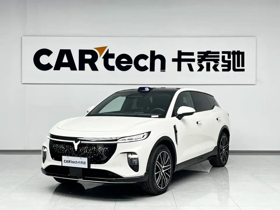 Voyah Auto Voyah Zhiyin Base 2025