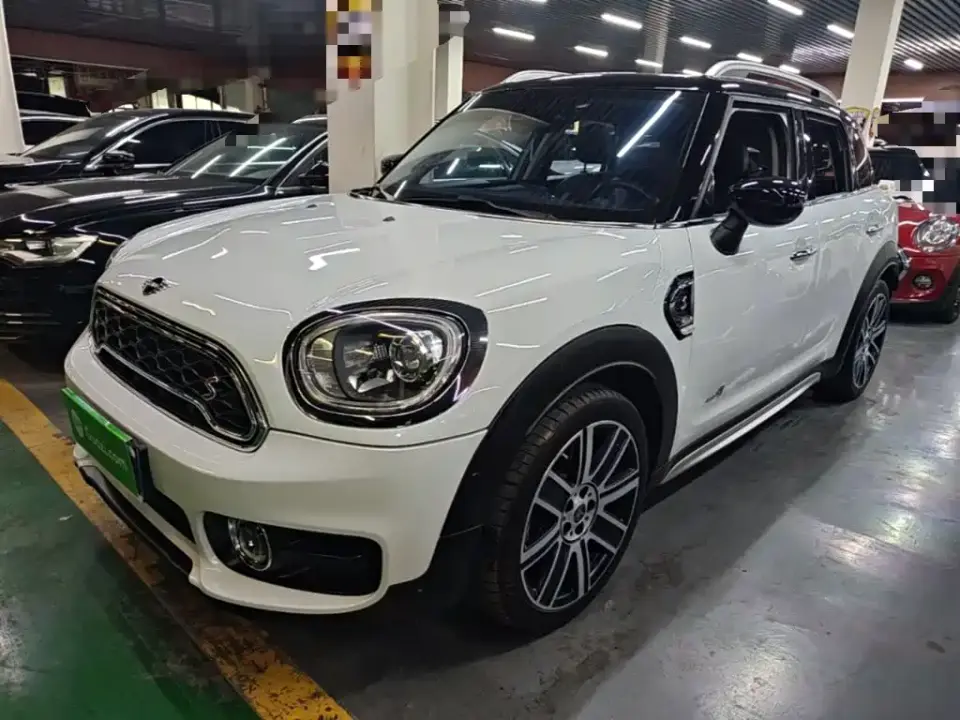 Mini COUNTRYMAN 2.0T COOPER S ALL4 Artist 2020