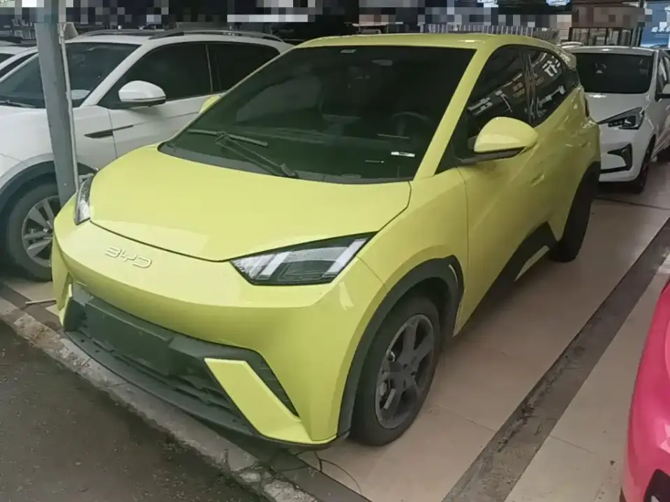 BYD Seagull Freedom Edition 2024